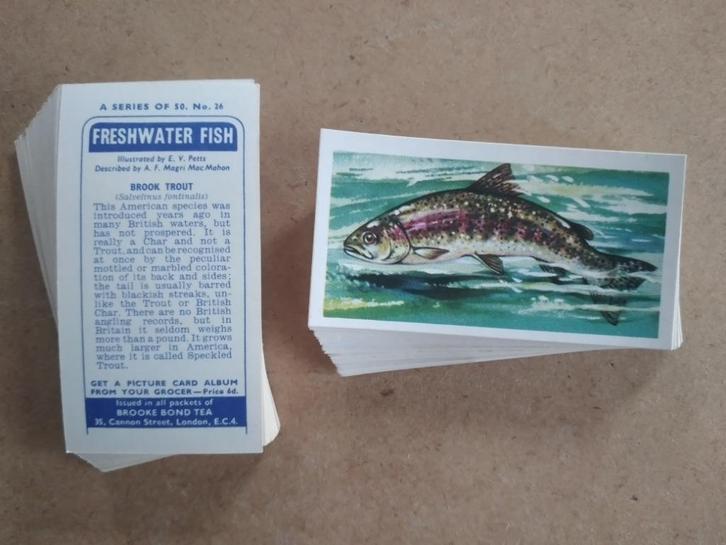 Freshwater Fish complete set 50 chromos vissen 1960, Verzamelen, Foto's en Prenten, Dier, 1960 tot 1980, Ophalen of Verzenden