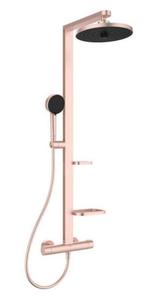 Ideal Standard ALU+ Rose showerpipe BD583RO Sale - Kooopje, Ophalen