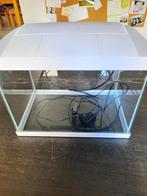 Aquarium, Ophalen of Verzenden, Zo goed als nieuw