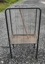 Papagaaienkooi, Ophalen, Gebruikt, Vogelkooi
