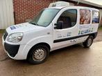 2008 Fiat Lichte vracht Koelwagen, Auto's, Gebruikt, Bedrijf, Diesel, Te koop