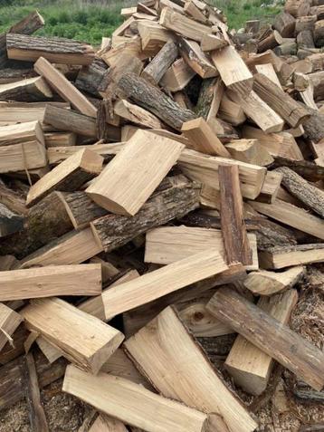 six steres de buches de 2 ans bois dur hiver 25-26 beschikbaar voor biedingen