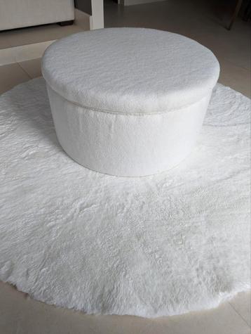 Rocking Seats Teddy Storage box  beschikbaar voor biedingen