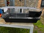 Kooi voor cavia of hamster, Dieren en Toebehoren, Kooi, Gebruikt, Hamster, 75 tot 110 cm
