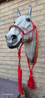 3 delige set rood maat COB, Dieren en Toebehoren, Ophalen, Nieuw