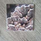 CD Various – Expedition_1, Ophalen of Verzenden, Nieuw in verpakking, Ambiënt of Lounge