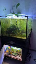 Aquarium 200L, Comme neuf, Enlèvement