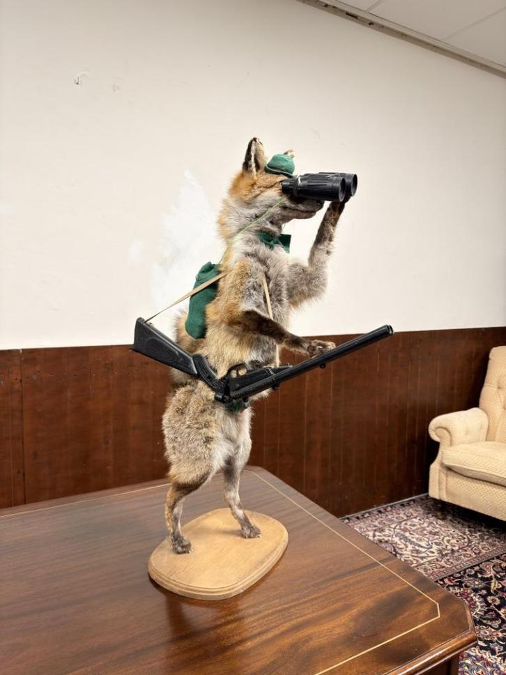 Taxidermie Opgezette Vos als Jager, Antiek en Kunst, Antiek | Kantoor en Zakelijk, Ophalen of Verzenden