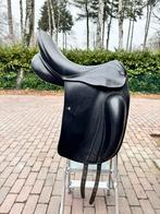 Kentaur Andromedea 18,5”, Dieren en Toebehoren, Ophalen, Gebruikt