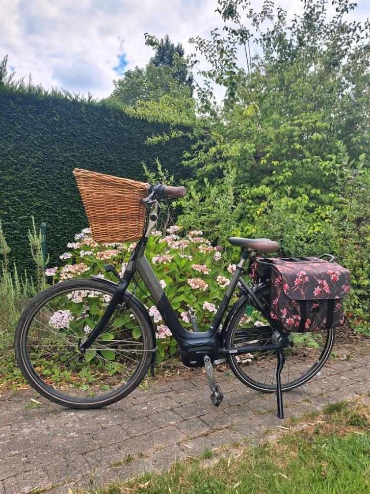 Gazelle Orange c8, Vélos & Vélomoteurs, Vélos | Femmes | Vélos pour femme, Utilisé, Gazelle, Enlèvement