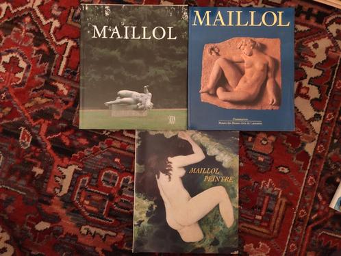 3 boeken over kunstenaar Aristide Maillol, Boeken, Kunst en Cultuur | Beeldend, Gelezen, Ophalen of Verzenden