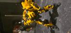 Transformers studio series bumblebee custome, Verzamelen, Transformers, Ophalen of Verzenden