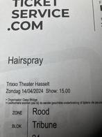 Ticket Hairspray 14-04-2024 Hasselt, Tickets en Kaartjes, April, Eén persoon