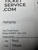 Ticket Hairspray 14-04-2024 Hasselt, Tickets & Billets, Théâtre | Comédie musicale, Une personne, Avril