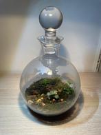 Terrarium, Ophalen