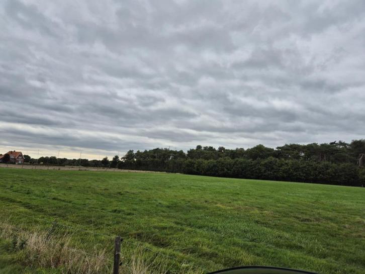 weide te koop, Immo, Gronden en Bouwgronden, 1500 m² of meer, Verkoop zonder makelaar