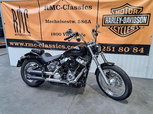 Harley-Davidson Chopper SOFTAIL - STANDARD 107, Motos, Motos | Harley-Davidson, Entreprise, Autre