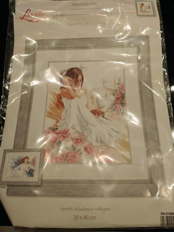 Borduurpakket L'Anarte, Hobby en Vrije tijd, Borduren en Borduurmachines, Borduurpakket, Handborduren, Ophalen of Verzenden