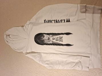 Hoodie in zeer goede staat. beschikbaar voor biedingen