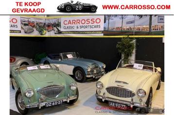 Austin Healey Te koop gevraagd beschikbaar voor biedingen