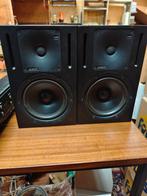 Genelec 1030A actief monitorsysteem, Audio, Tv en Foto, Ophalen of Verzenden, Gebruikt