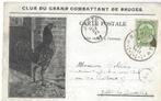 TE KOOP Gevraagd : postkaart, Verzamelen, Postkaarten | Dieren, Ophalen of Verzenden, Voor 1920, Overige soorten
