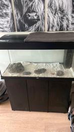 180l rio juwel aquarium met filter en benodigheden, Dieren en Toebehoren, Ophalen, Gebruikt, Leeg aquarium