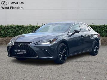 Lexus ES 300h F SPORT+360°+Mark Levinson  beschikbaar voor biedingen