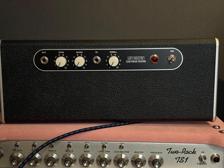 Surfybear Classic Reverb, Muziek en Instrumenten, Effecten, Nieuw, Reverb, Verzenden