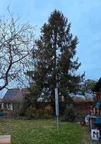 Gratis brandhout, Enlèvement