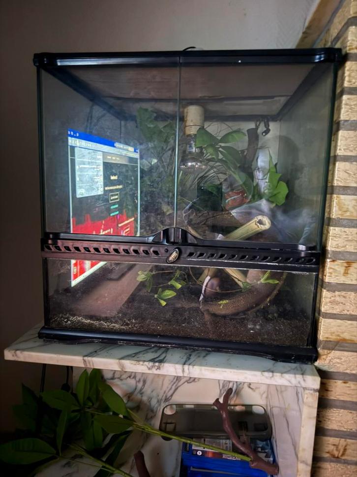 Exo terra, Dieren en Toebehoren, Reptielen en Amfibieën | Toebehoren, Zo goed als nieuw, Ophalen