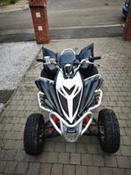 Raptor 700 2014 fase 2 met of zonder technische inspectie, Motoren, 700 cc, 1 cilinder, 12 t/m 35 kW