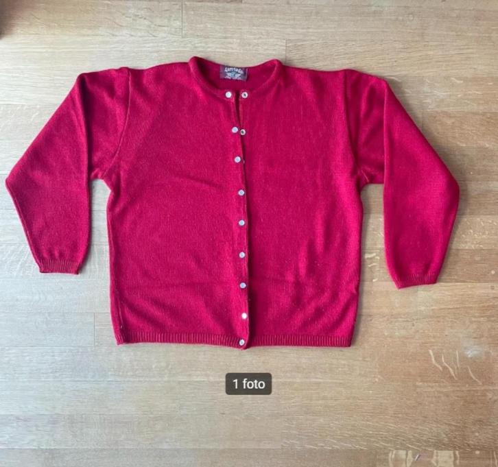 rode gilet maat 40 - 42 2 eur, Kleding | Dames, Truien en Vesten, Zo goed als nieuw, Maat 38/40 (M), Rood, Ophalen of Verzenden
