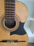 Exclusive parlor akoustische gitaar Ermelinda Silvestri 1930, Ophalen of Verzenden