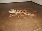Metalen beeld hagedis, Antiek en Kunst, Ophalen of Verzenden