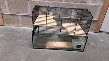 Cage à hamster, fond en verre