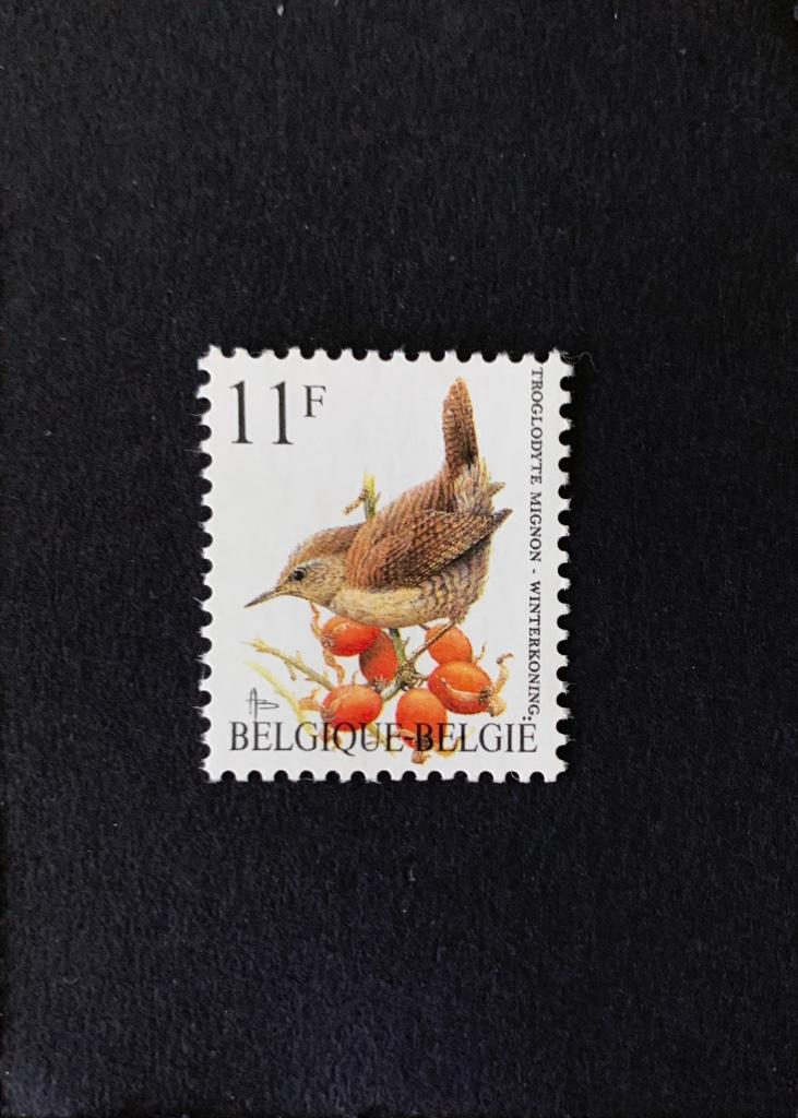 België 1992 obp 2449 ** Buzin, Verzenden, Postfris