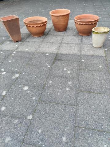 Terracotta bloempotten beschikbaar voor biedingen