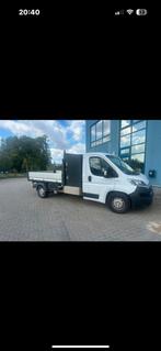 Fiat Ducato, Auto's, Voorwielaandrijving, Stof, 4 cilinders, 3000 kg