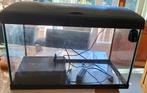 Aquarium 60 liter - filter- lamp. Geen koerier, Dieren en Toebehoren, Vissen | Aquaria en Toebehoren, Ophalen