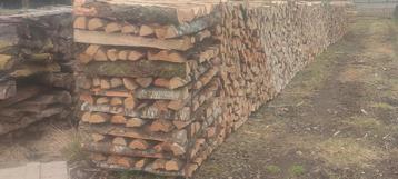 Bonjour bois de chauffage frais ou sec, Enlèvement, Bouleau