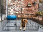 Puppyren te koop, Ophalen, Gebruikt