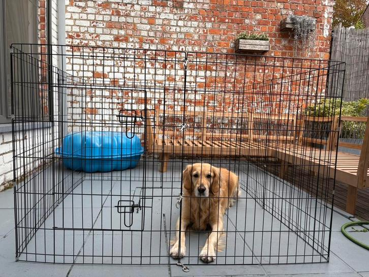 Puppyren te koop, Dieren en Toebehoren, Hondenhokken, Gebruikt, Ophalen