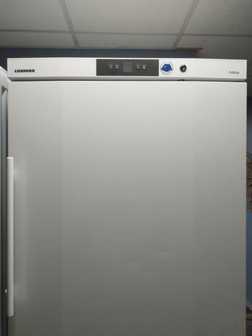 Frigo Liebherr professionnel 