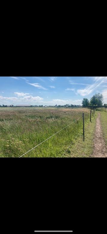 Op vakantie zonder paard? Of even geen tijd?  beschikbaar voor biedingen