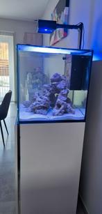 Aquarium RedSea 180 L, Enlèvement, Comme neuf