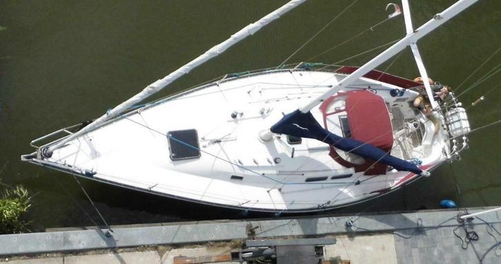 zeiljacht C&C 38, 1978,  38 voet : update 2024 07 02  !!, Watersport en Boten, Kajuitzeilboten en Zeiljachten, Gebruikt, Tour-wedstrijdjacht