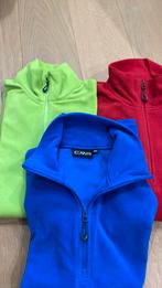 Skipullies kindermaat 164, Sport en Fitness, Skiën en Langlaufen, Ophalen, Zo goed als nieuw