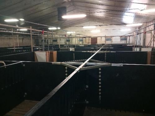 kunststof panelen, Doe-het-zelf en Bouw, Platen en Panelen, Gebruikt, Overige materialen, Ophalen