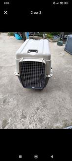 Cage pour grand chien, Dieren en Toebehoren, Transportboxen, Ophalen